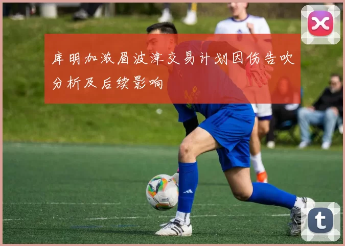 库明加浓眉波津交易计划因伤告吹分析及后续影响
